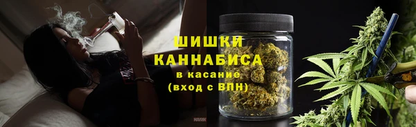 PSILOCYBIN Алексеевка