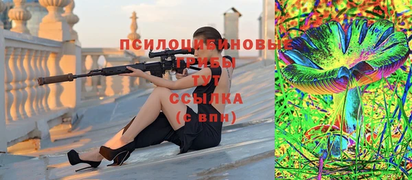 PSILOCYBIN Алексеевка