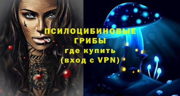 прущий лед Алзамай